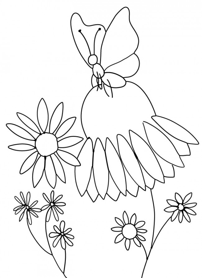 butterfly-monarch-cone-flower- ...