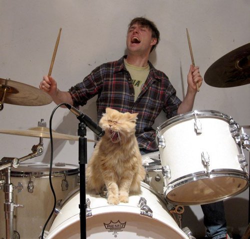 lead-singer-is-one-cool-cat.jpg