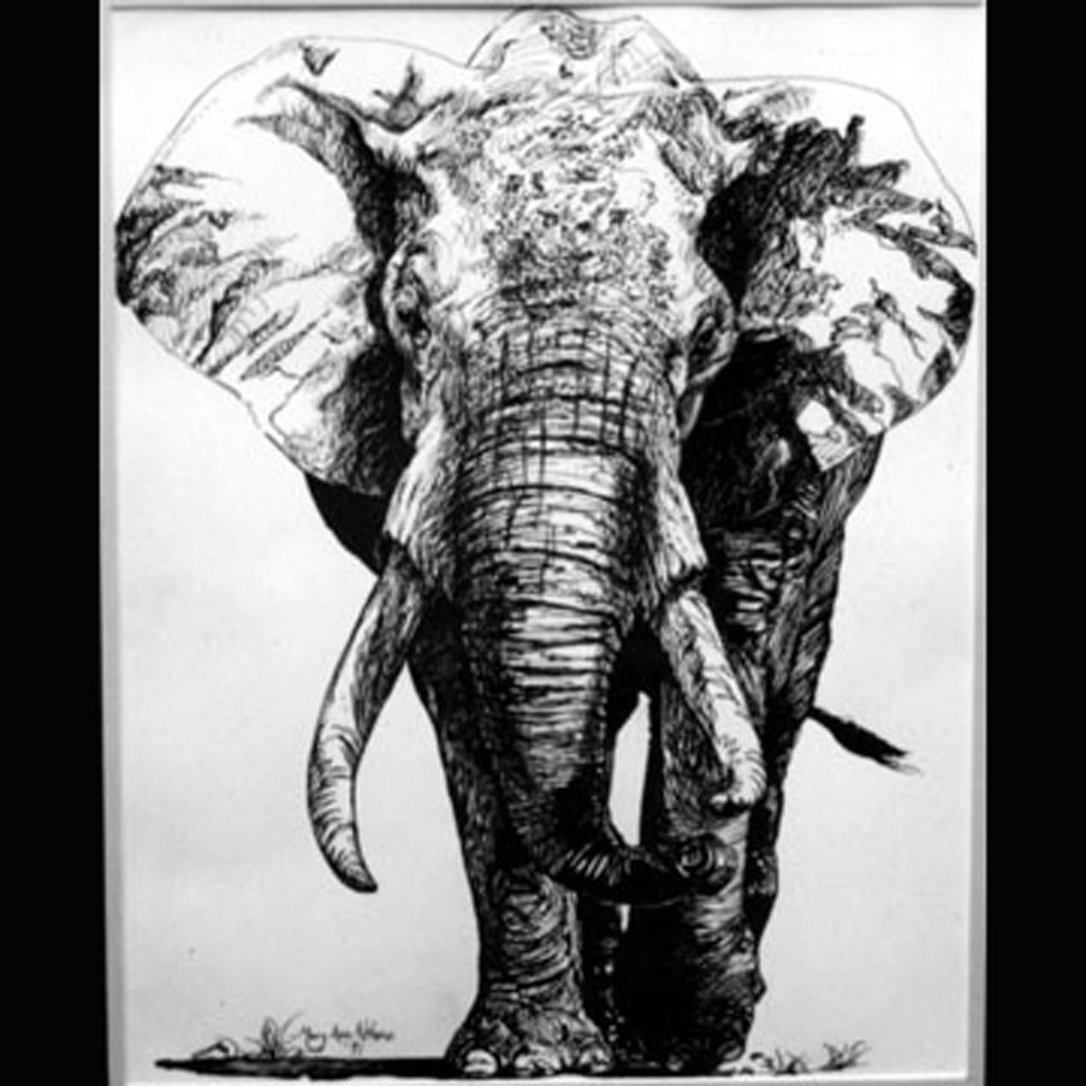 Popular items for elephant drawing on Etsy