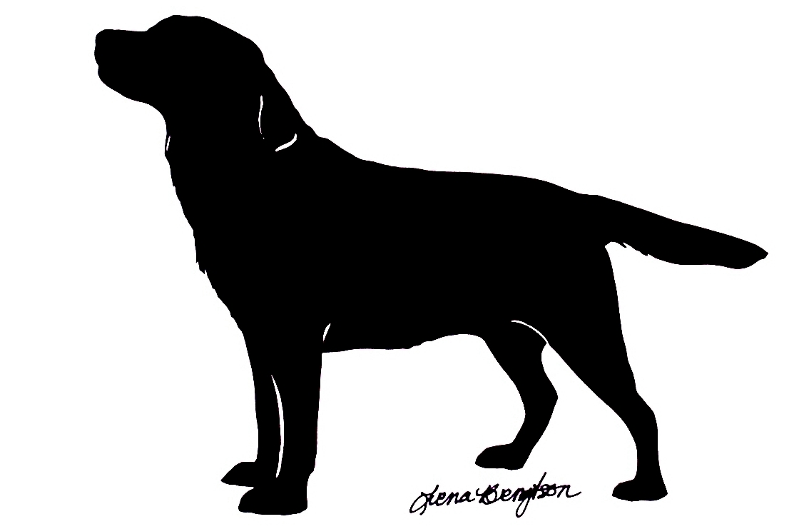Pet Gallery7