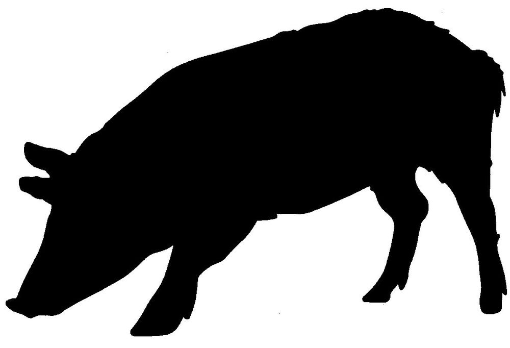 1000x1000.jpg