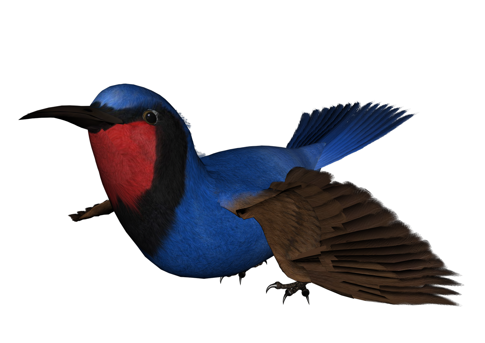 Free High Resolution graphics and clip art: free png graphics birds