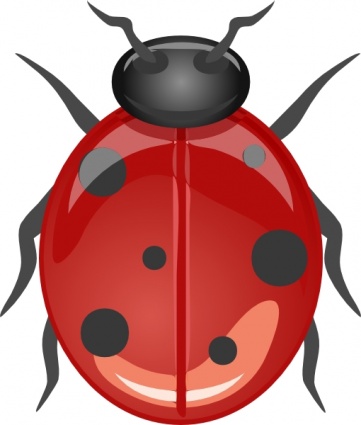 Download Ladybug clip art Vector Free