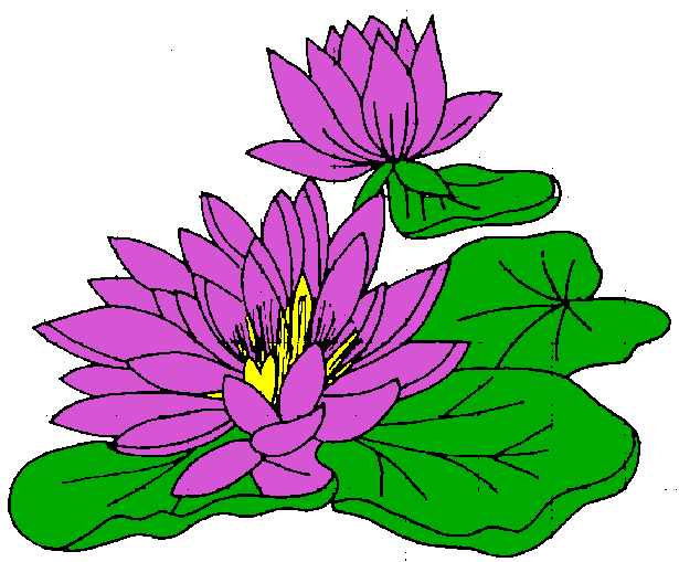 Water Lily Clip Art - ClipArt Best