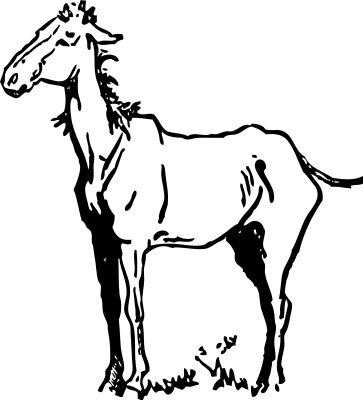 Free Horse Coloring Pages Clipart, 2 pages of Public Domain Clip Art