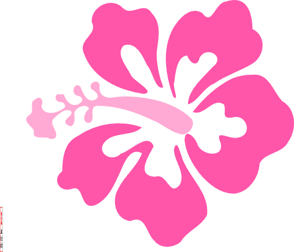 Coral Hibiscus clip art - vector clip art online, royalty free ...