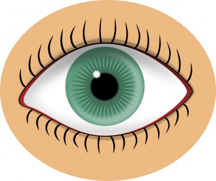 Blue Eye clip art - Download free Human vectors