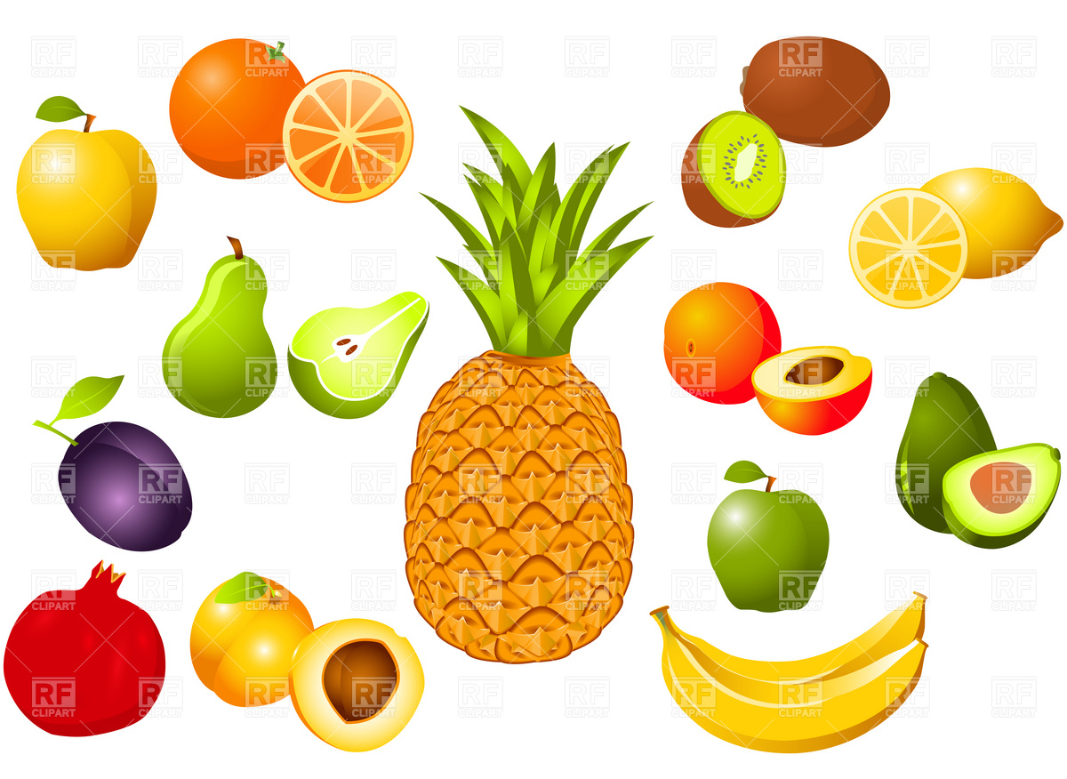 Images For > Clipart Fruit