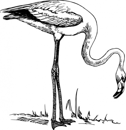 Flamingo Clipart Black And White | Clipart Panda - Free Clipart Images