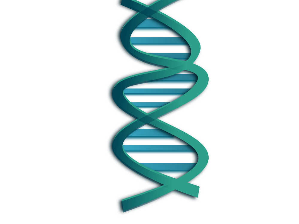 clipartist.net » Clip Art » dna netalloy super duper SVG