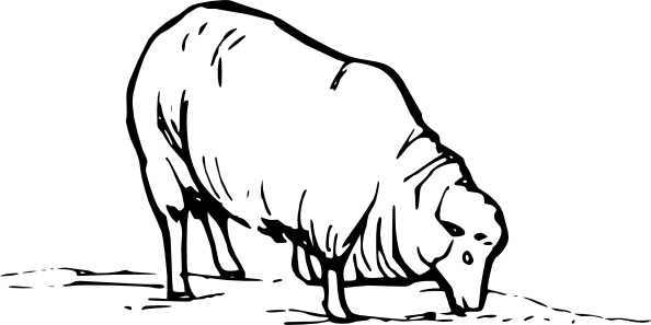 Line Drawing Sheep - ClipArt Best - ClipArt Best