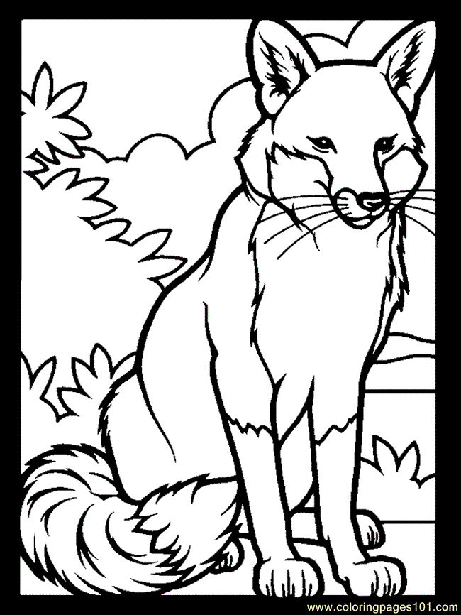 Fox coloring page - Free Printable Coloring Pages
