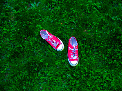 CloverLawn.org | Promoting clover as a lawn alternative - low ...