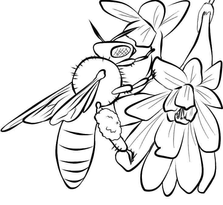 Bee Color Page - AZ Coloring Pages