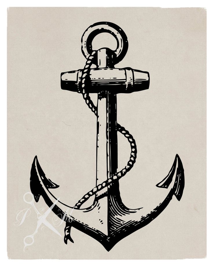 No.65 Digital Download Vector Graphic of a Vintage Anchor ...