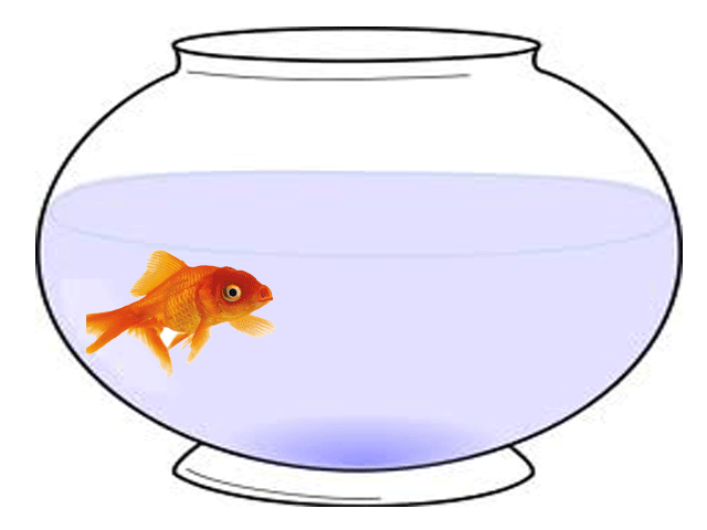 Moving Right Along Clipart - Free Clip Art Images