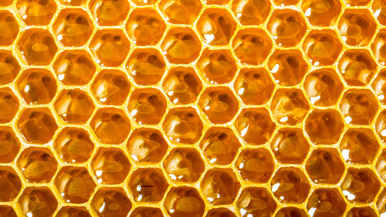 Can A Smart Beehive Network Of Open-Source Hives Help Stop The Bee ...