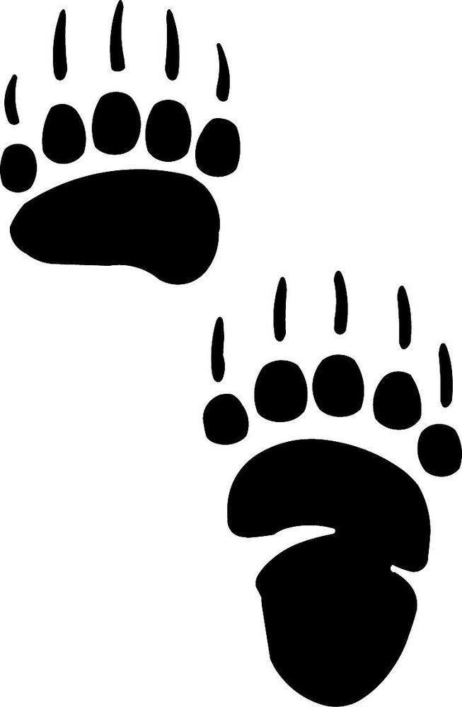 Grizzly Bear Track Footprint Sticker Paw Decal | eBay