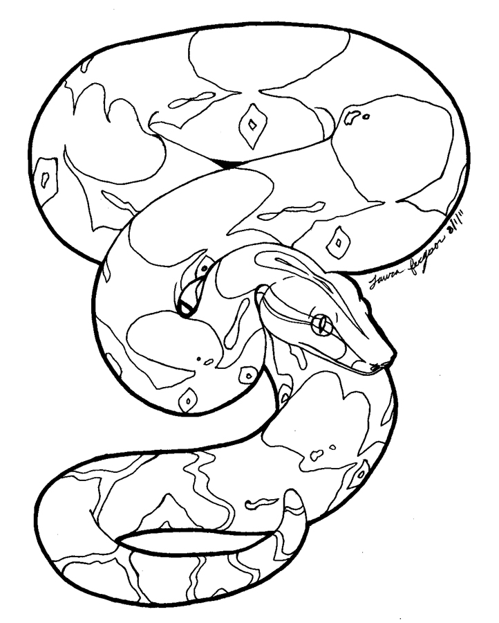 DeviantArt: More Like Boa Constrictor Line Art 3 by mrinx