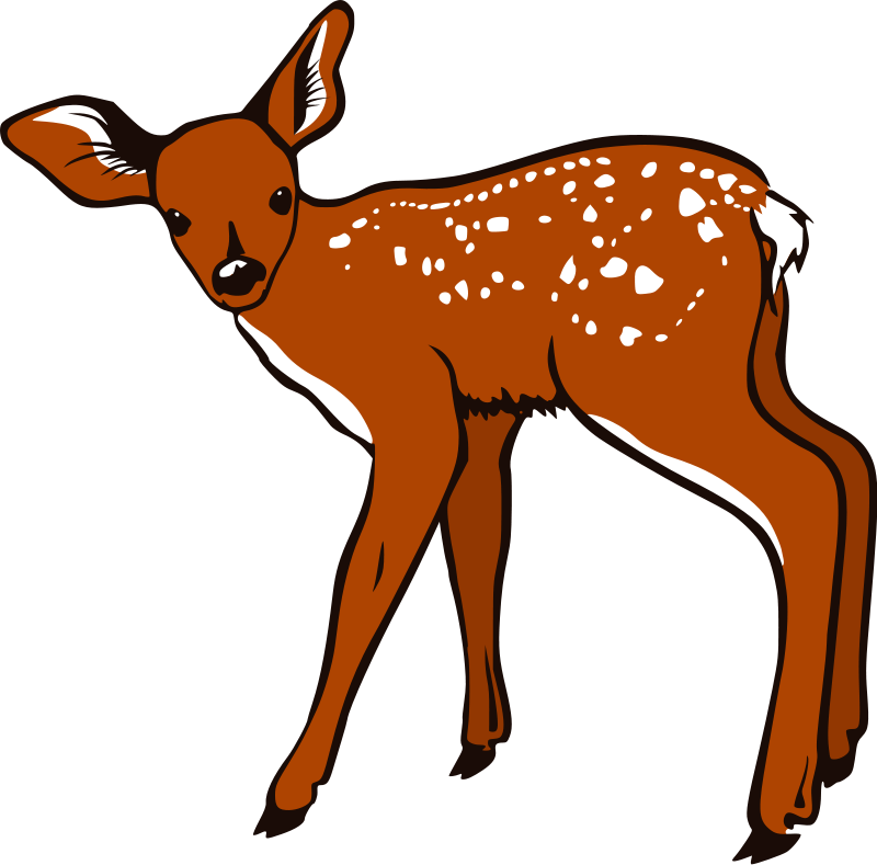 Fawn.ashx