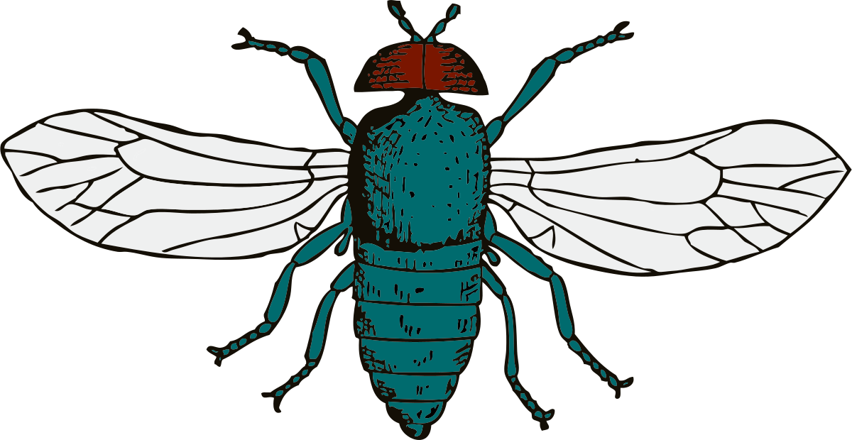 Blue Bottle Fly Clipart by johnny_automatic : Animal Cliparts #721 ...