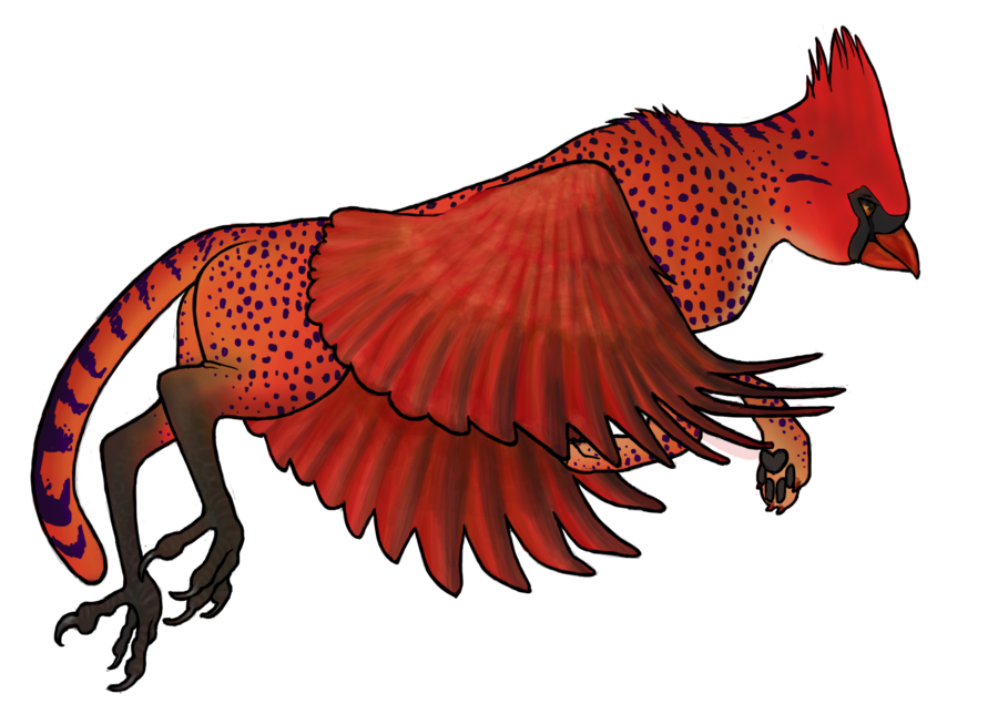 CLOSED - Cheetah Cardinal Gryphon by craesin on deviantART