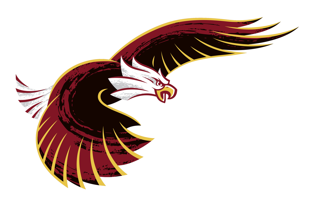 Eagle Logos for my Charter School | James Hough Studio