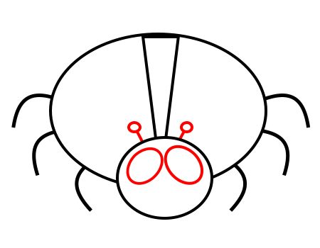 Drawing cartoon insects