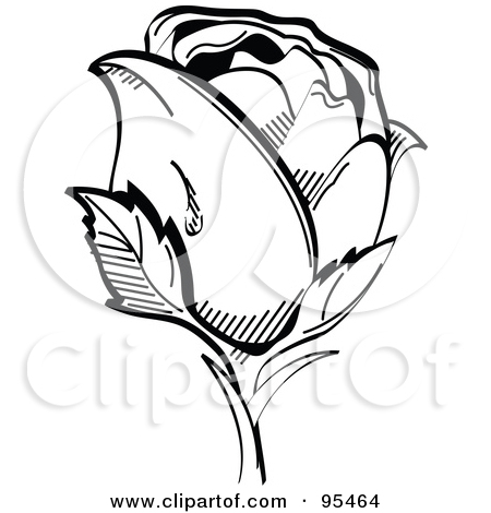 Single Rose Black And White | Clipart Panda - Free Clipart Images