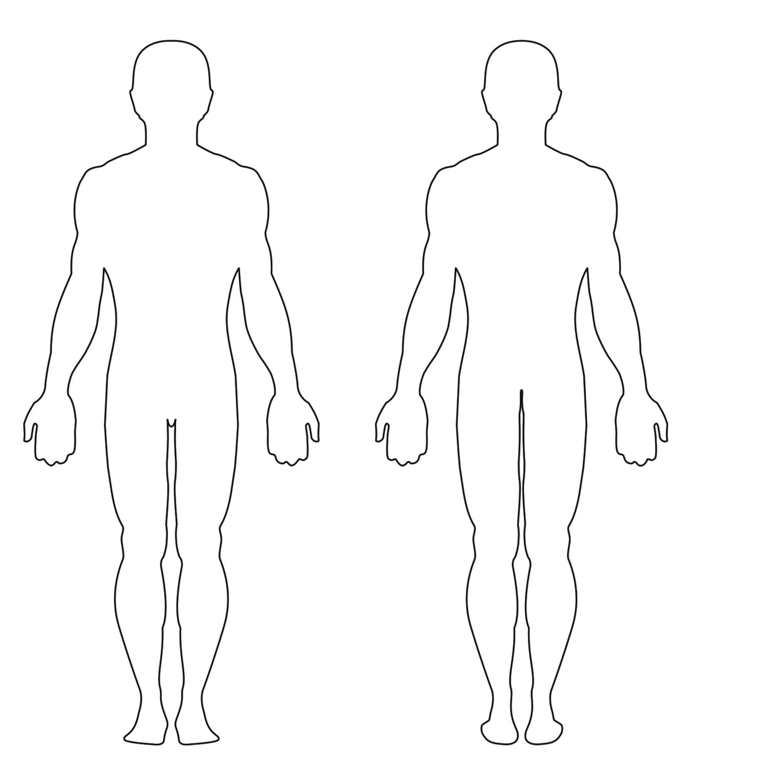 Free Human Body Outline Front And Back | picturespider.com