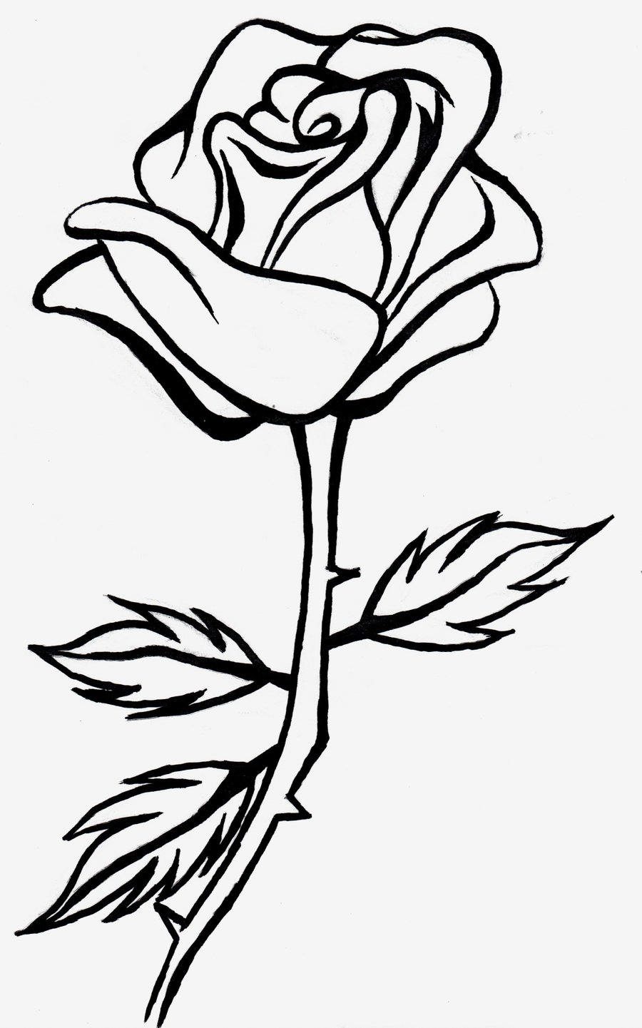 Rose Line Art - Cliparts.co