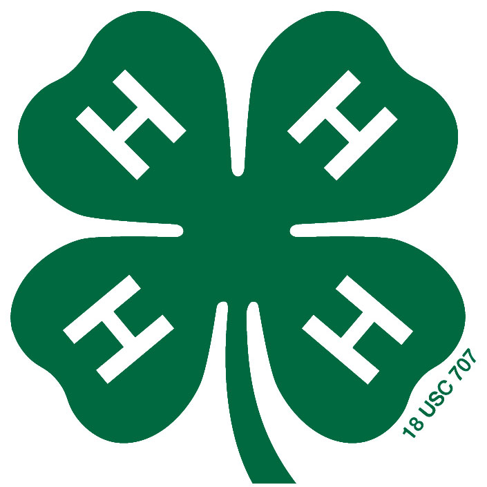 4-H Clover | Austin