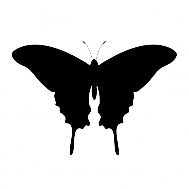 Butterfly Outline Clipart Free Stock Photo - Public Domain Pictures