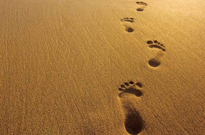 How Footsteps Reveal Speed : Discovery News