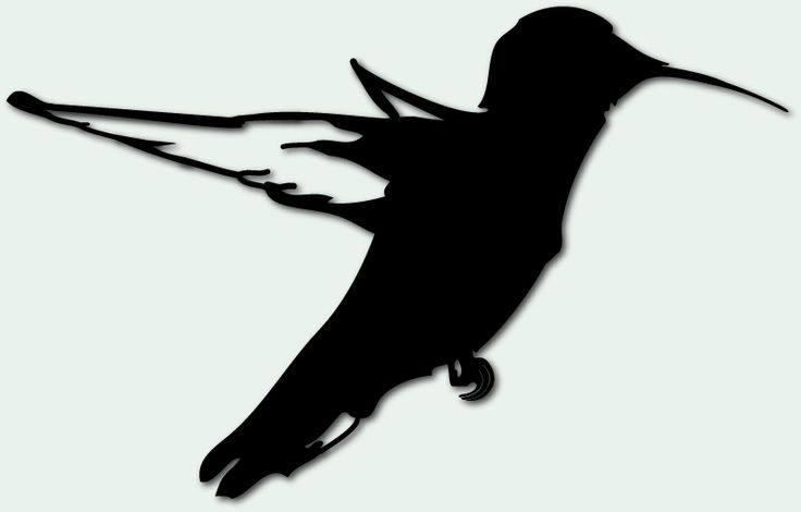 Hummingbird silhouette | Tattoo ideas | Pinterest