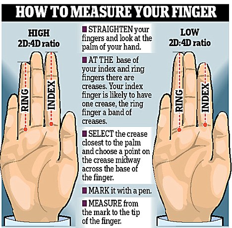 What the length of your index finger says about you | Daily Mail ...