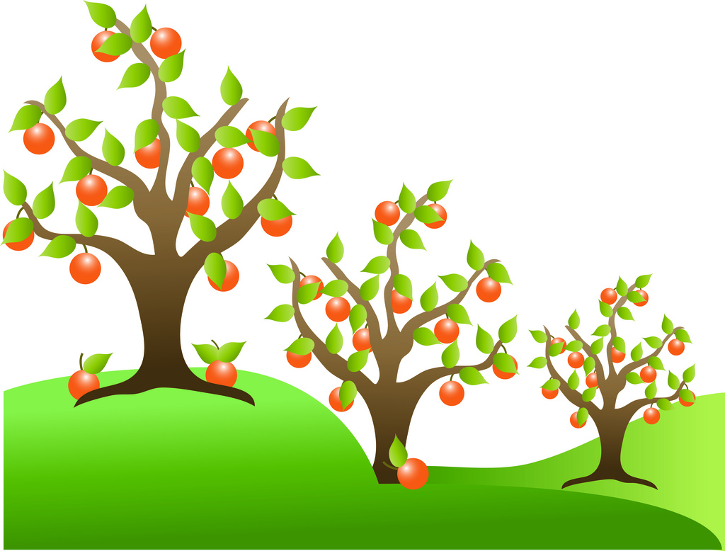 Clip Art Illustration of Orange Trees in an Orchard | Flickr ...
