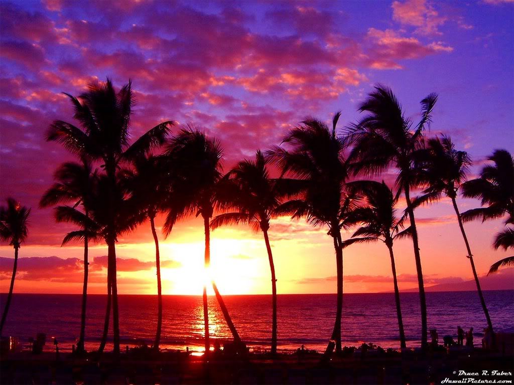 beach sunsets graphics and comments