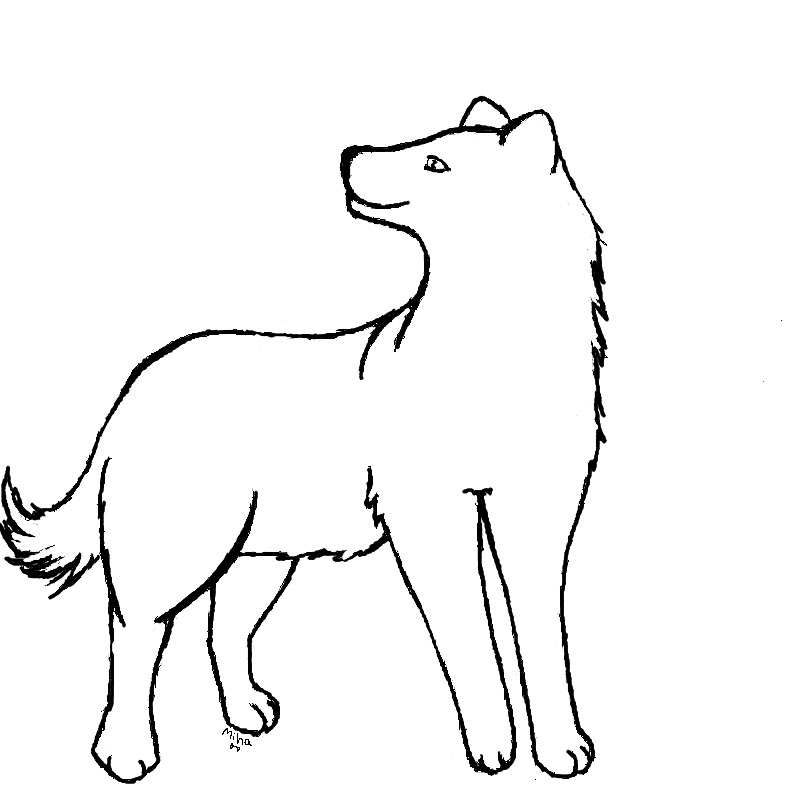 Wolf Outline Drawing - AZ Coloring Pages