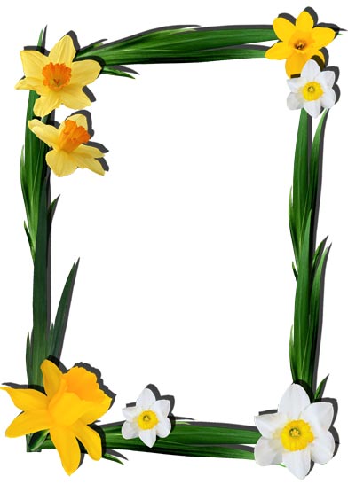 png-flower-frame-for-photoshop ...