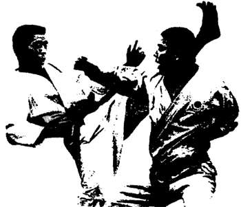 Japan Karate Association of Brooklyn
