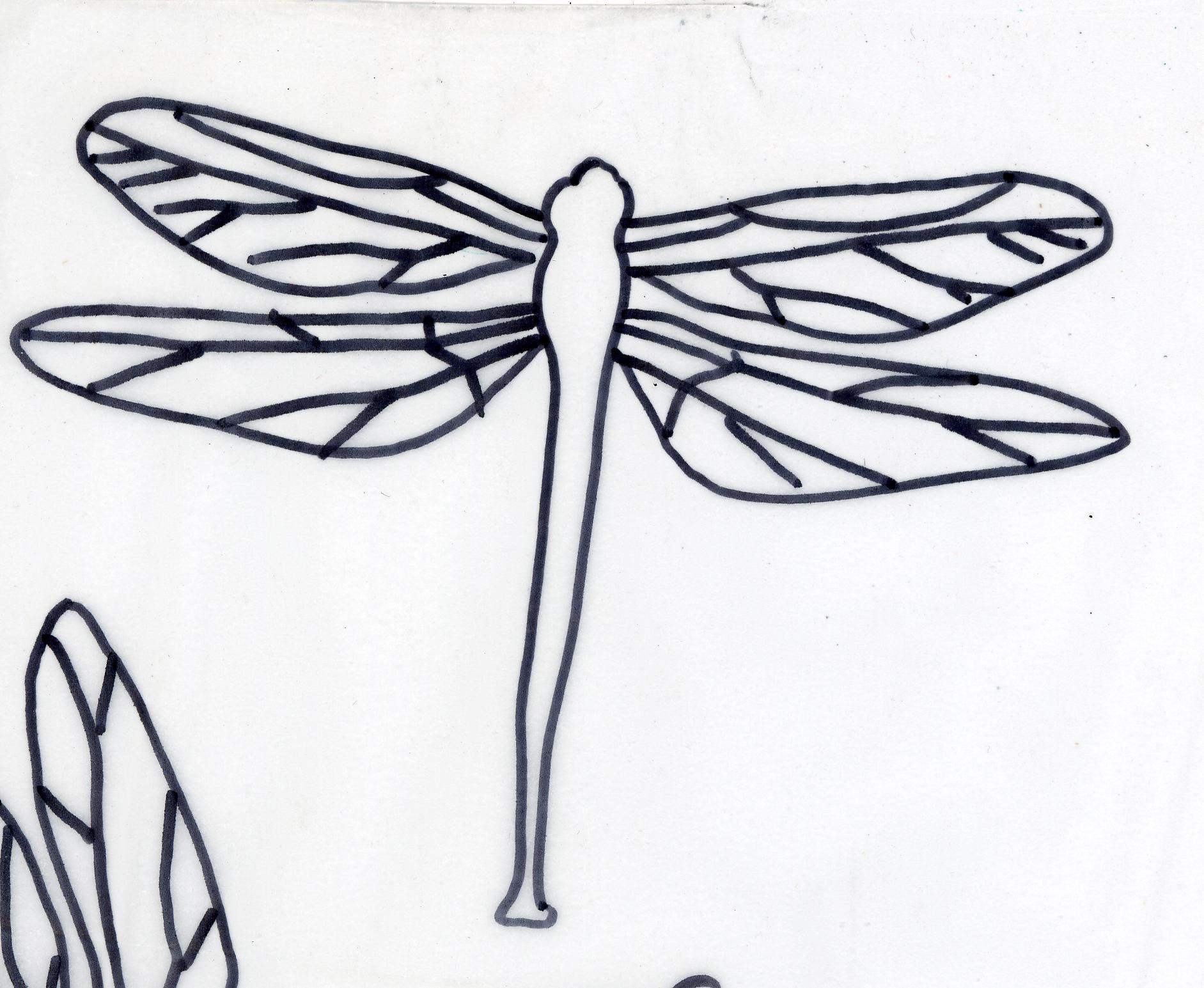 Dragonfly line drawing | Handwritten Life