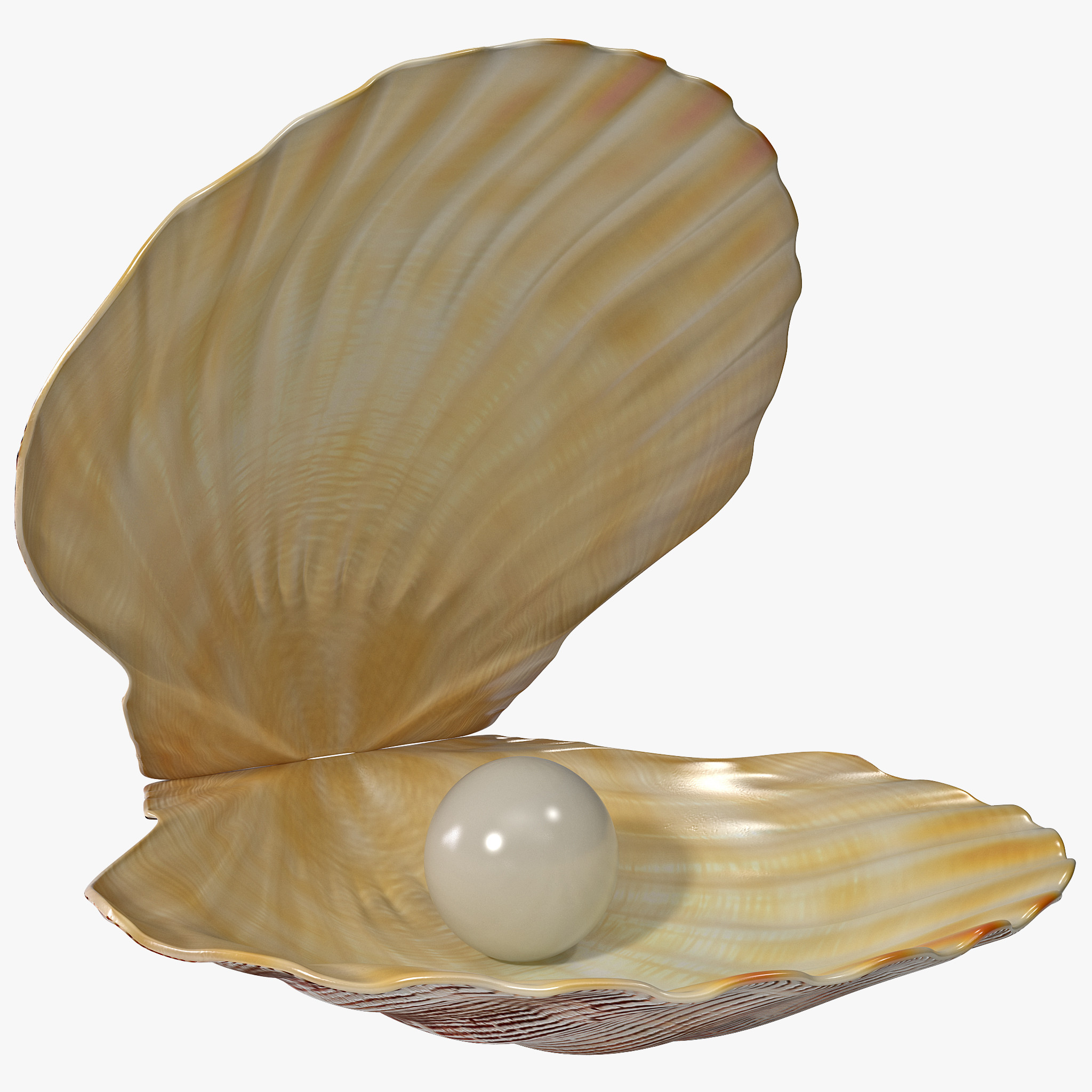 3d 3ds pearl shell