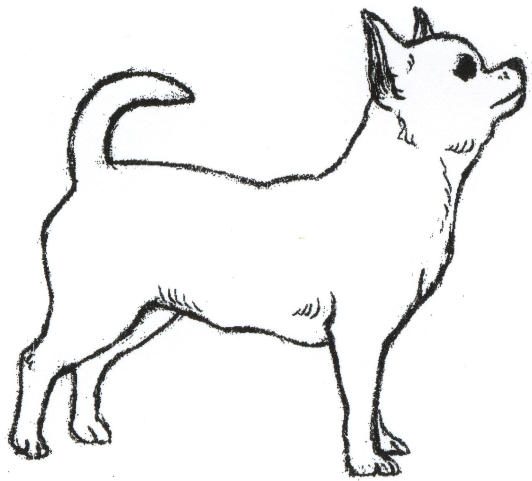 Dogs Drawings - ClipArt Best