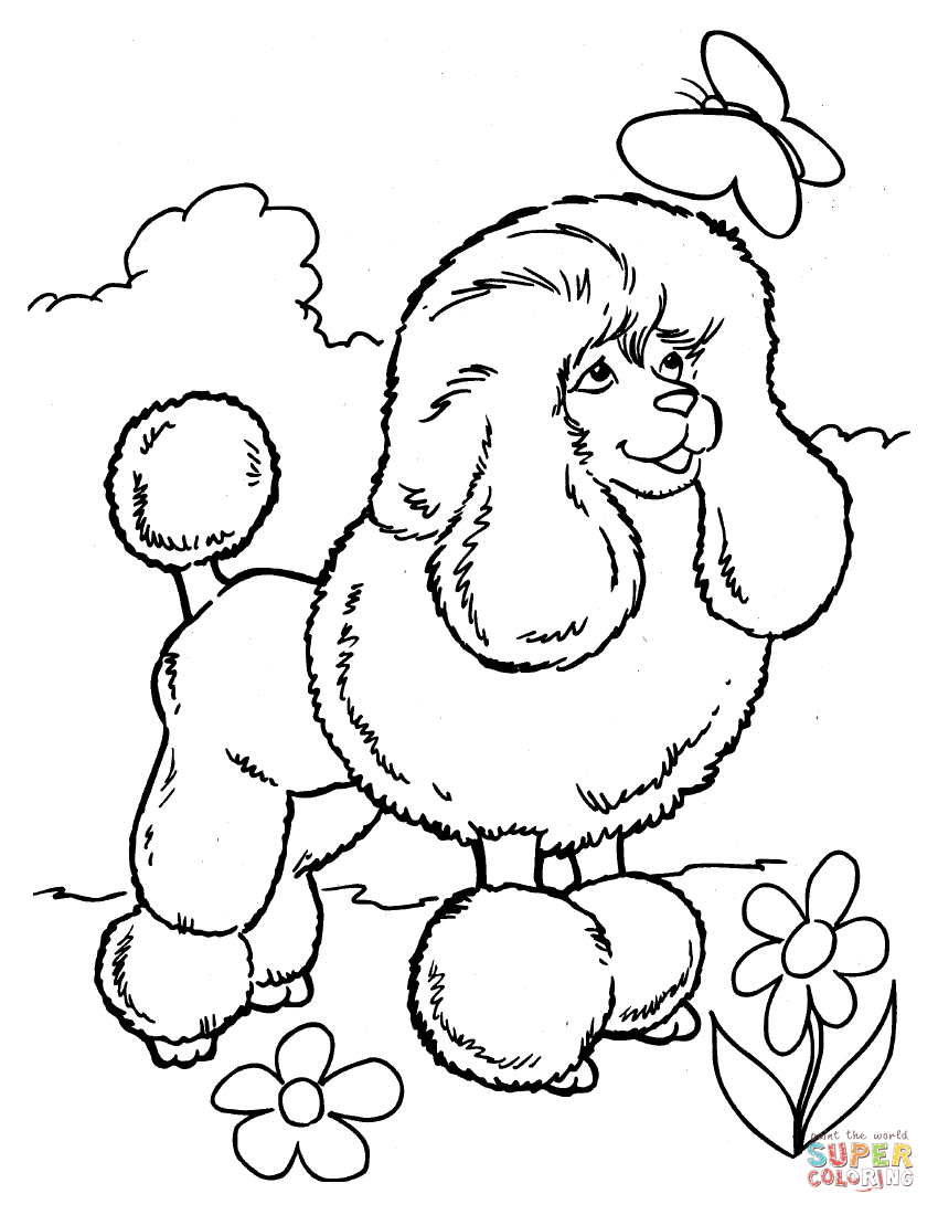 Toy Poodle Coloring page | Free Printable Coloring Pages