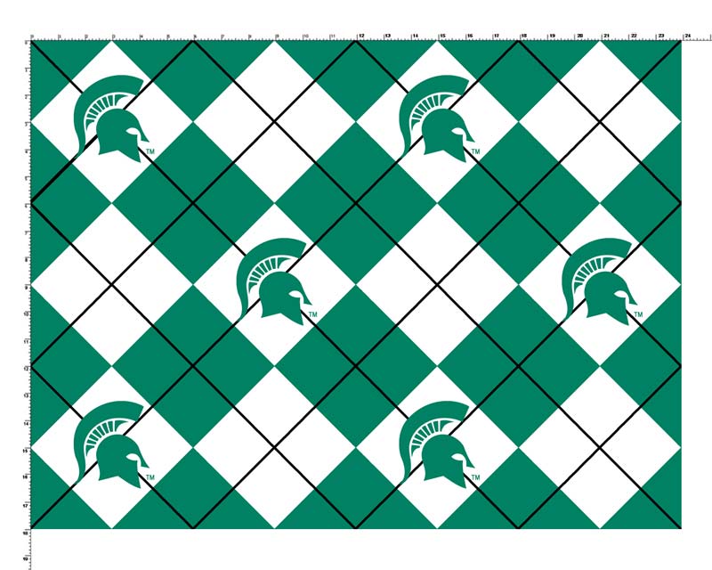 Picture Of Michigan State