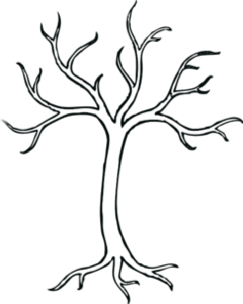 Bare Tree Drawing With Roots - Gallery