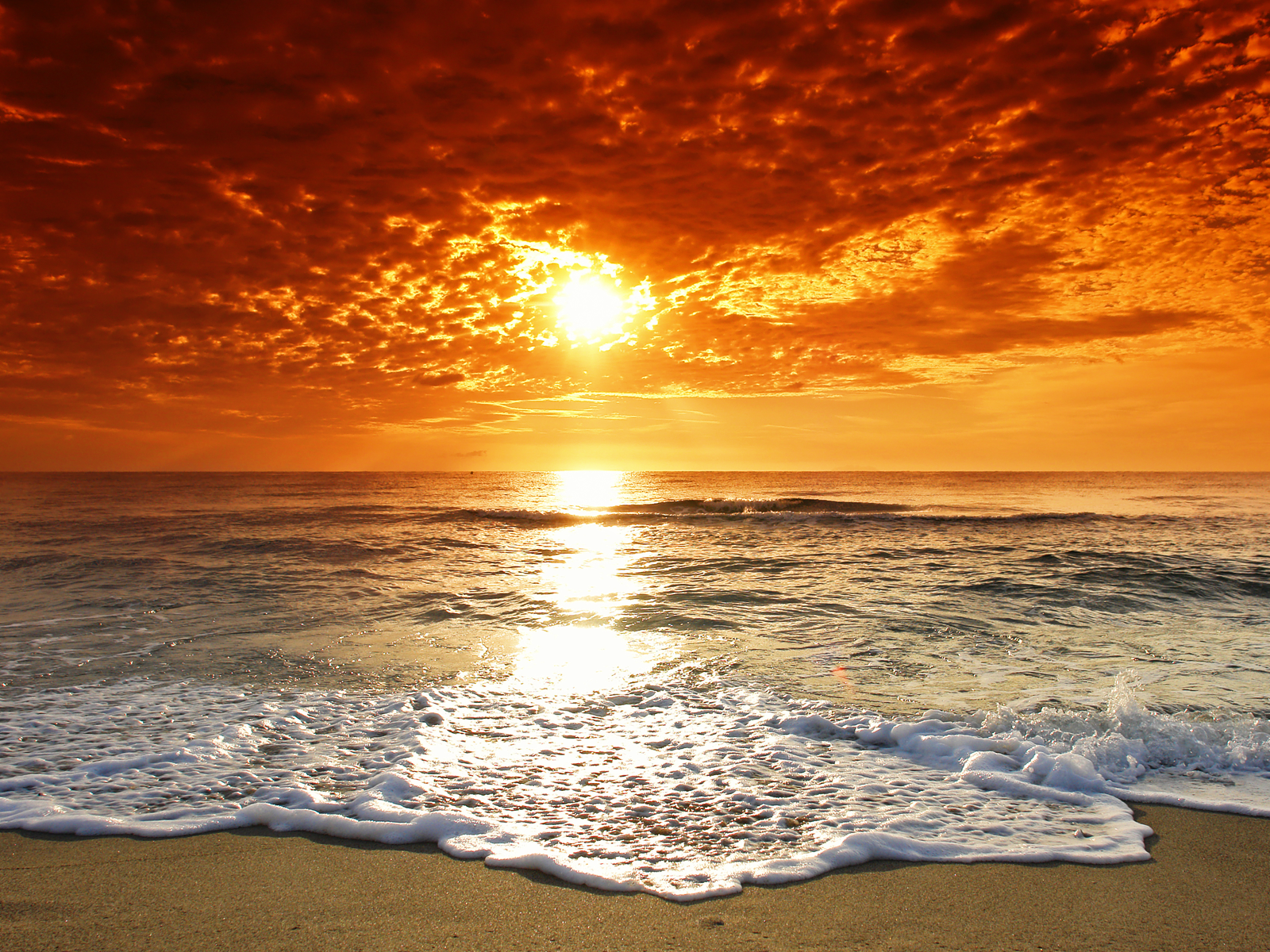 Beach Background #6830967