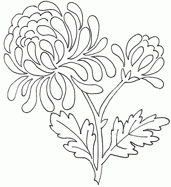 Free Flowers Template 3