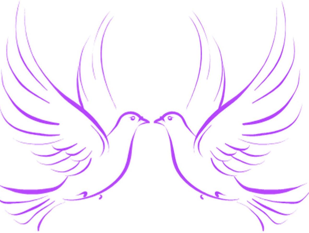 Wedding Doves image - vector clip art online, royalty free ...